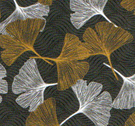 Ginko